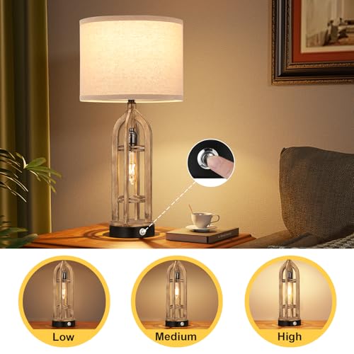 Table Lamps for Living Room (2 Count)