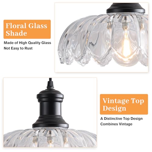 Kitchen Island Lighting 2 Pack (2 Count)