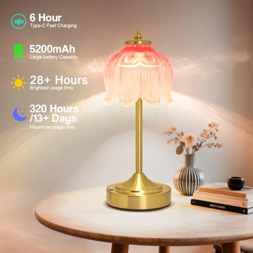Cordless Table Lamp
