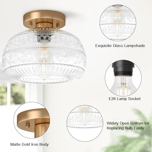 9" Clear Glass Flush Mount Ceiling Light Fixture