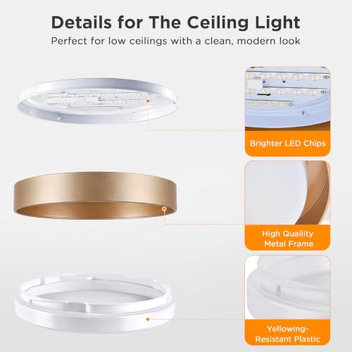 Flush Mount Ceiling Light (Gold)