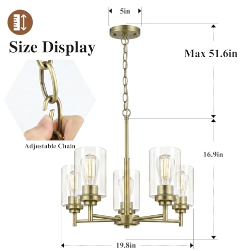 D19.8" Chandelier for Dining Room
