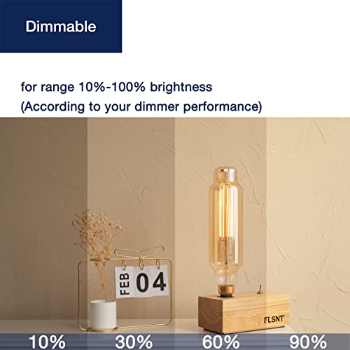 New Large Oversized Vintage LED Bulbs