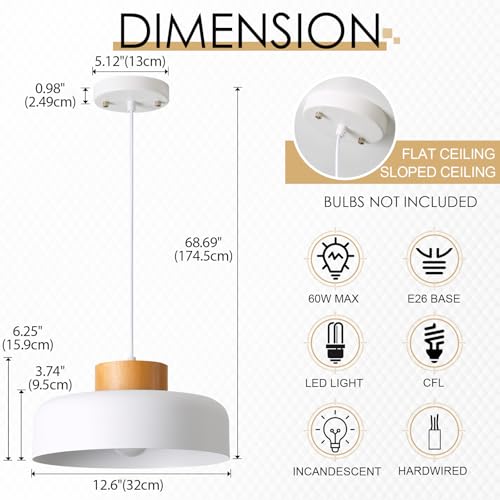 Modern Pendant Light