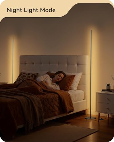2 Pack 57.5” Floor Lamp with Remote (2 Count)