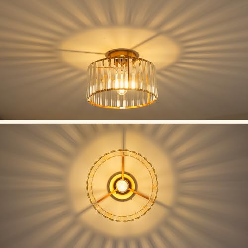 Crystal Ceiling Light Fixture