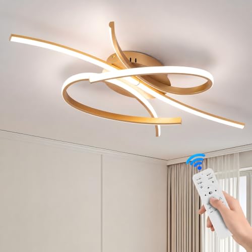Modern LED Ceiling Light Fixture