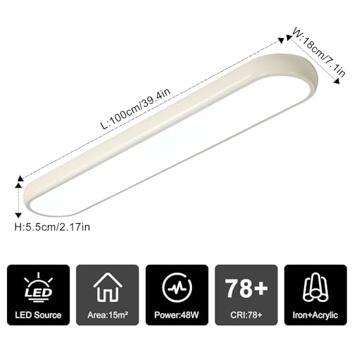 LED Ceiling Light
