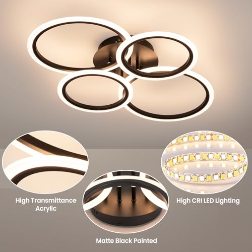 Black Modern Ceiling Light