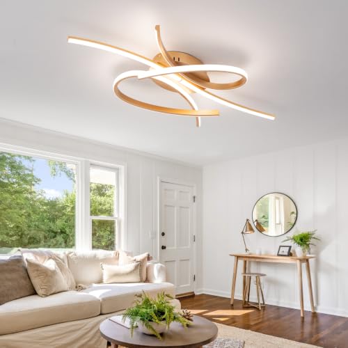 Modern LED Ceiling Light Fixture