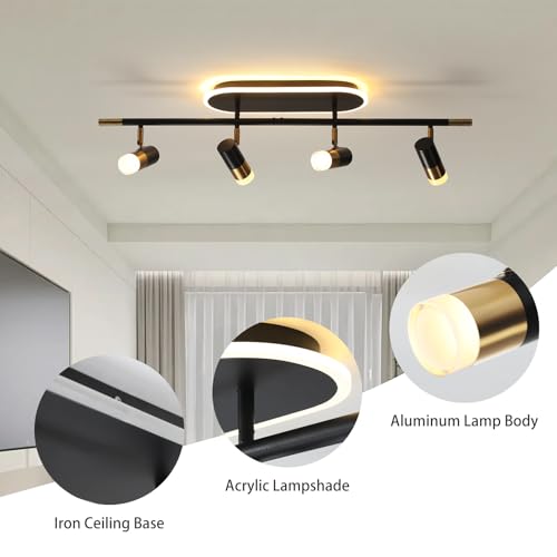 4 Light LED Track Lighting Fixture with Remote Control