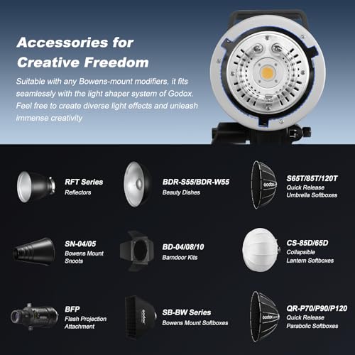 MS300V 2 Pack Professional Studio Strobe Flash Light 300W Studio Flash Strobe kit 300W GN58 0.1 (2 Count)