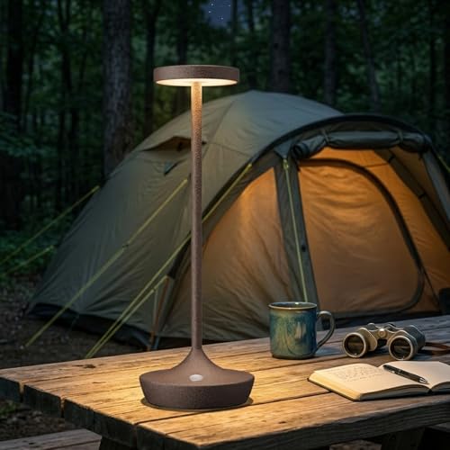 2 Pack Cordless Table Lamps