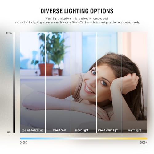 BASICS 5" Ring Light for Video Conference Lighting (2 Count)