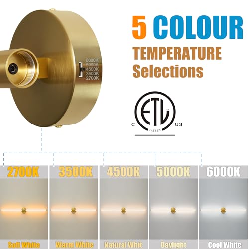 Gold Wall Sconces Set of 2 Hardwired LED Vanity Light 39"