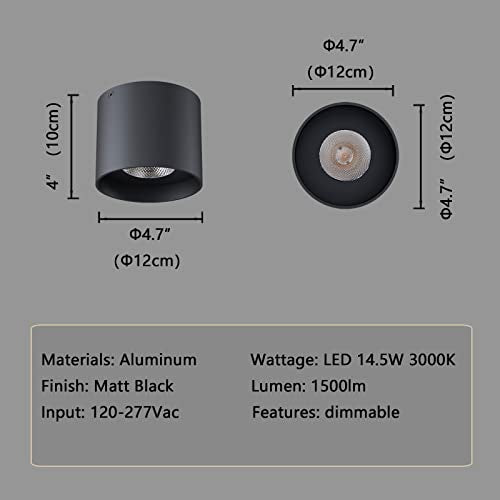 Ceiling Light Fixture (2 Count)