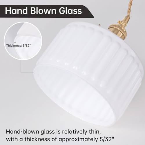 Plug in Pendant Light Hanging Light Fixtures with Plugin Cord On