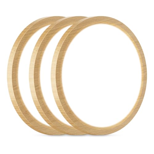 12Inch Flush Mount Ceiling Light Fixtures (3 Count)