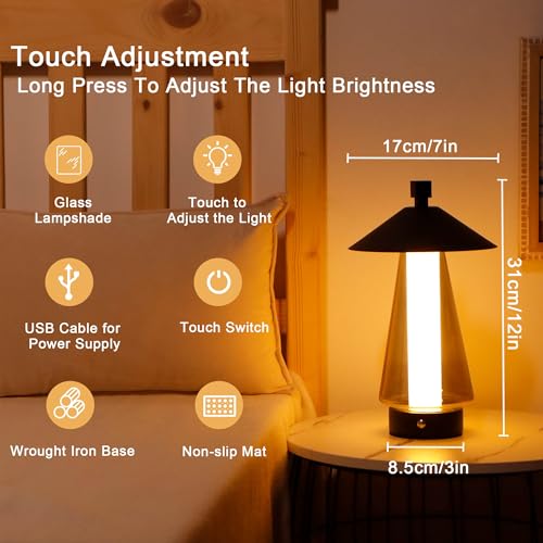 Set of 2 Stepless Dimmable Bedside Lamp 12" H LED Touch Table Lamp Chrome Lamp with Grey Anodized Glass lampshade for Bedroom Living Room Indoors Outdoors（Black (2 Count)