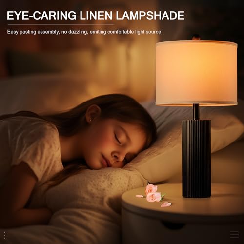 24.5” Table Lamps for Living Room Set of 2 (2 Count)
