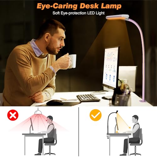 LED Desk Lamp with Clamp