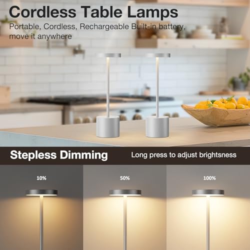 Silver Gray Cordless Lamp Set (2 Count)