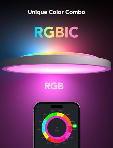 Smart Ceiling Light