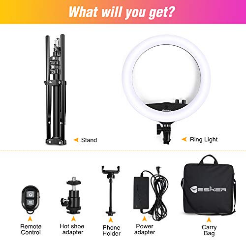 Ring Light with Tripod Stand