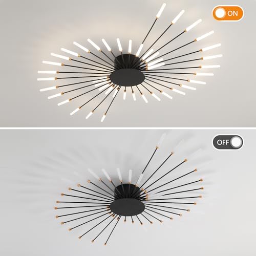 Modern Ceiling Light