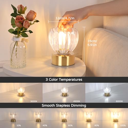 Cordless Small Table Lamp with 5200mAh Battery & Touch Control