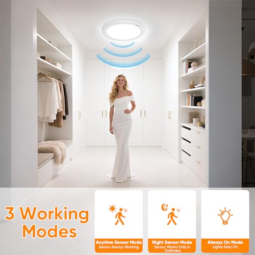 Rechargeable Motion Sensor Ceiling Light