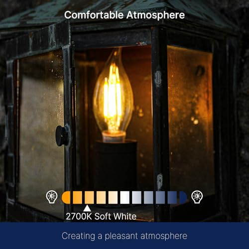2700K Soft White LED Chandelier Edison Bulbs (6 Count)