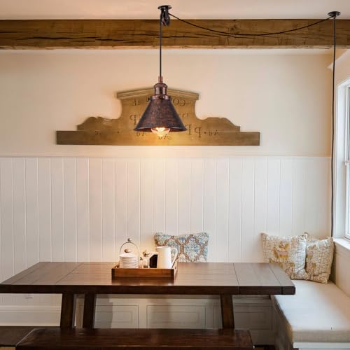 Plug in Pendant Light