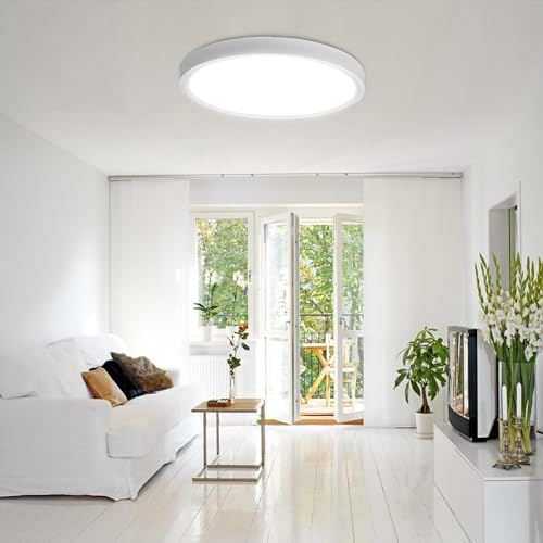 20 Inch Large LED Flush Mount Ceiling Light (2 Count)