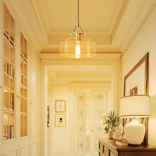 Chandelier Rustic Farmhouse Industrial Round Ceiling Pendant LED Light Fixture with Clear Glass Shades for Dining Room Kitchen Island Foyer Entryway