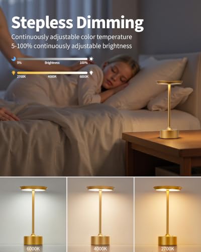 Rechargeable Table Lamps Set of 2 (2 Count)