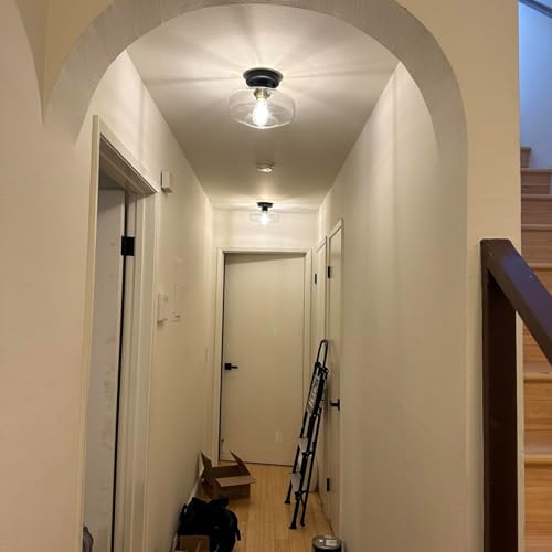 Semi Flush Mount Ceiling Light