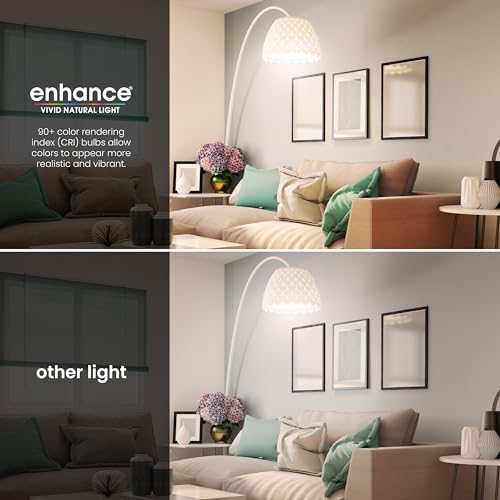 Enhance A19 LED Light Bulb (2 Count)