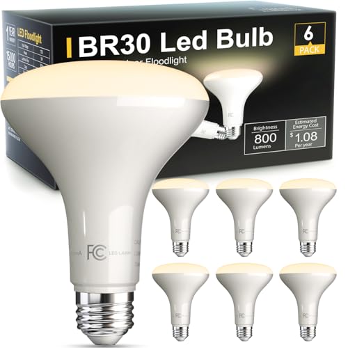 6 Pack BR30 Flood Light Bulb Indoor (6 Count)