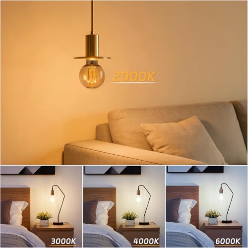 Dimmable Edison Bulb E26 Vintage Round LED Light LowLumen Amber G80