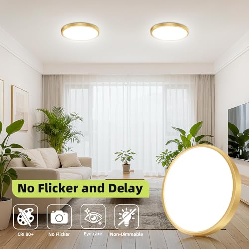 2PACK Flush Mount LED Ceiling Light Fixture