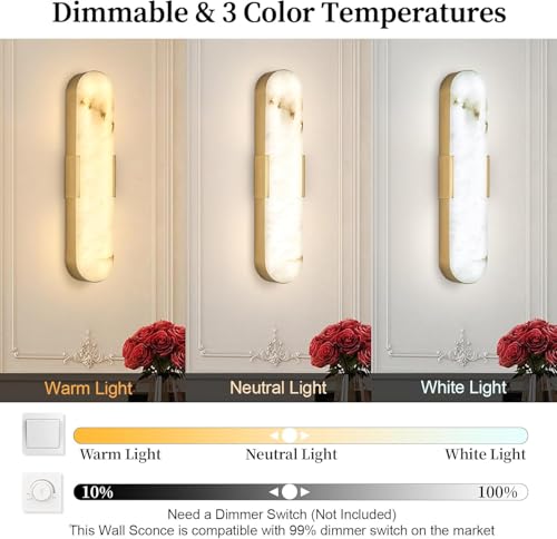 Modern LED Wall Sconce