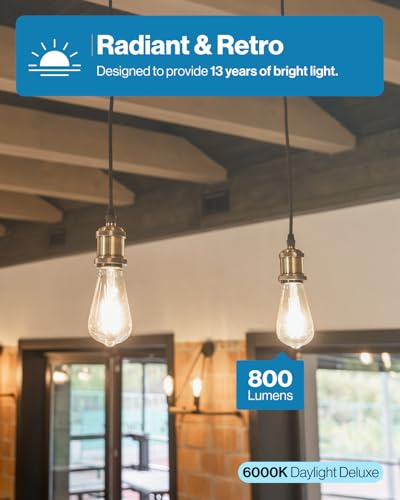 Sunco 50 Pack Edison Bulbs LED ST64 (50 Count)
