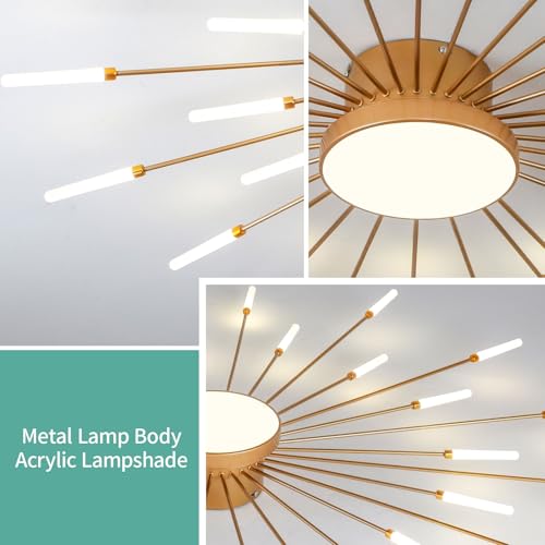 Modern Ceiling Light