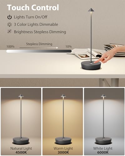 Cordless Table Lamp Rechargeable 6000mAh Battery Outdoor LED Light (2 Count)