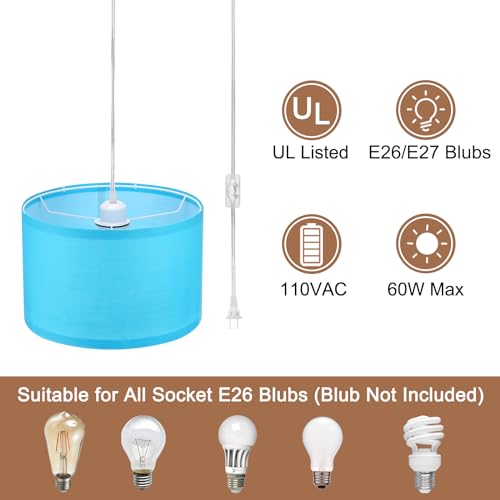 Plug in Pendant Light