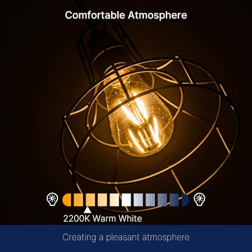 100W Equivalent LED Edison Bulbs (12 Count)