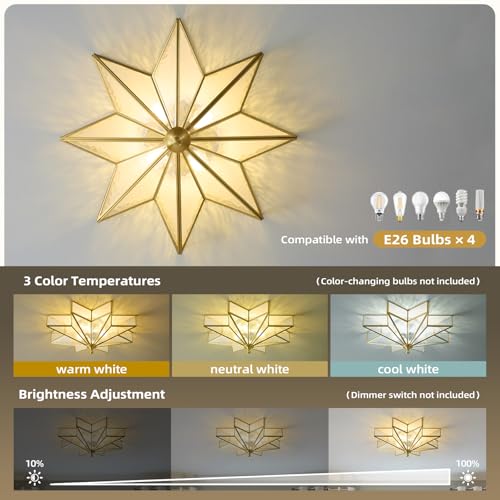 Star Brass Vintage Ceiling Light