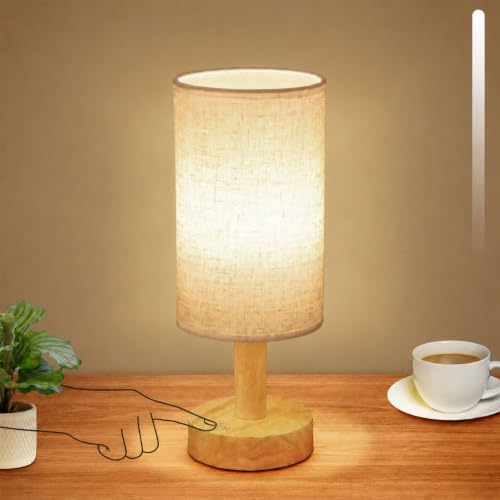 Rechargeable Cordless Touch Table Lamp with Stepless Dimming