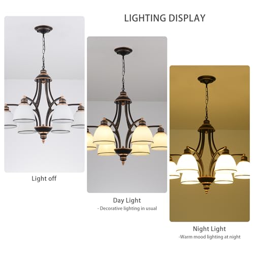 6 Light Chandelier